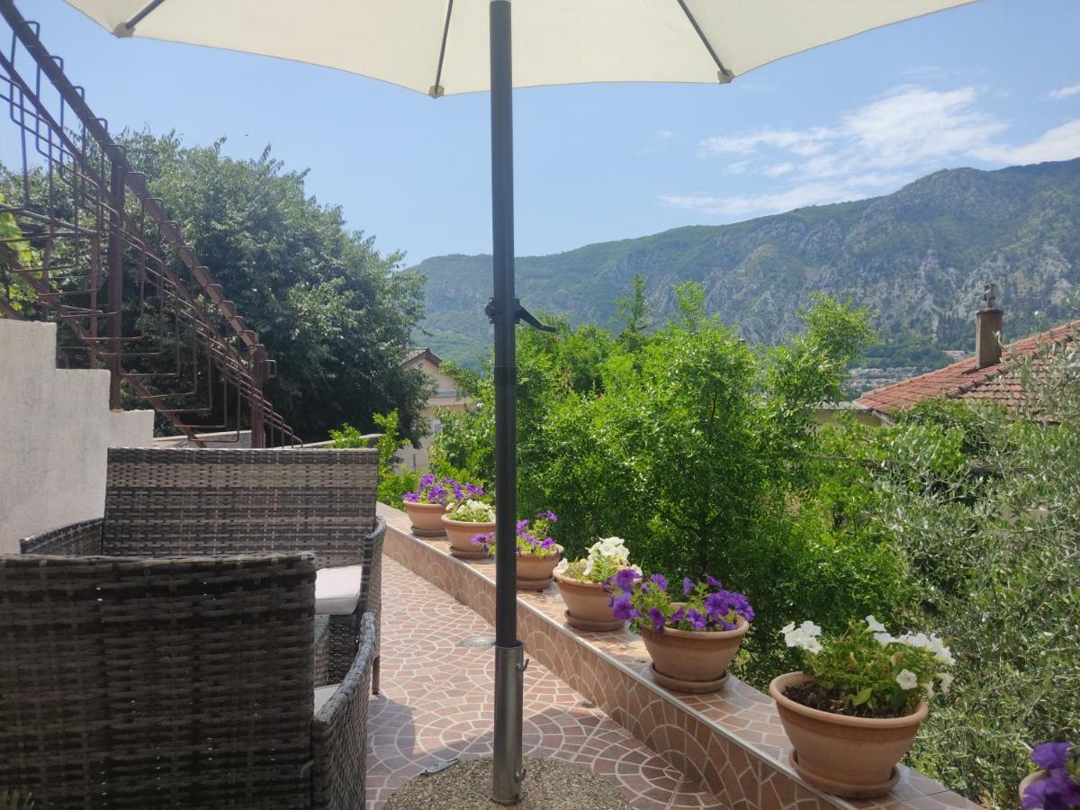 Apartments Feniks Kotor Exterior photo